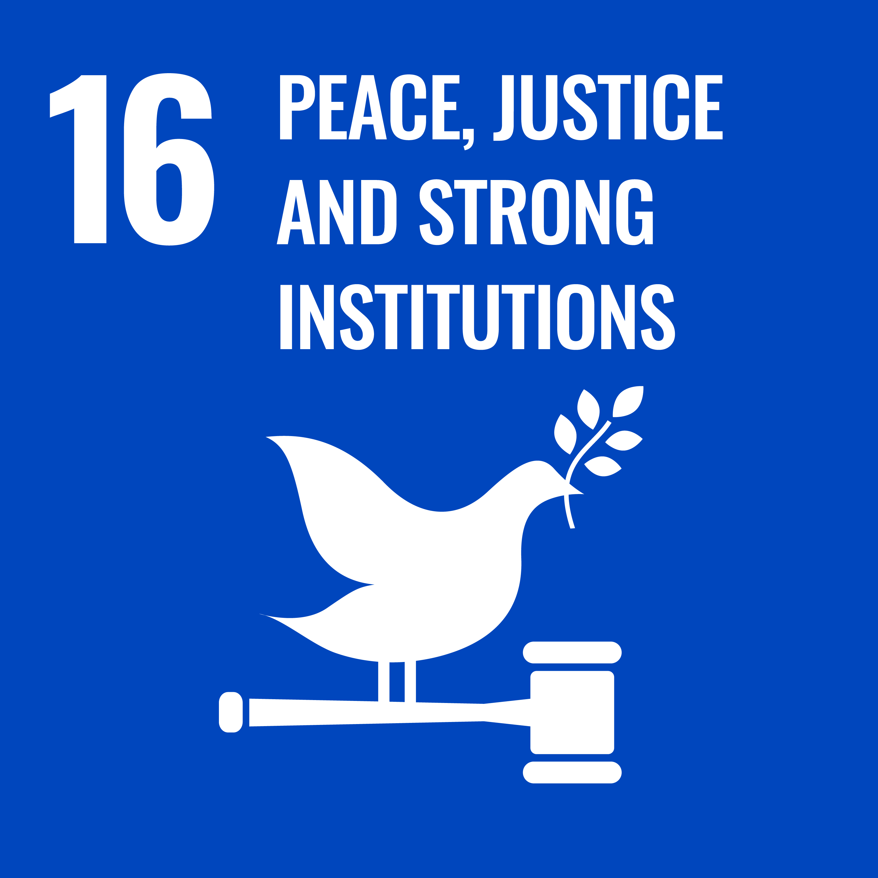 SDG-16: Peace Justice & Strong Institution